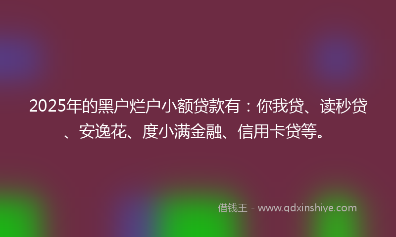 2025年的黑户烂户小额贷款有：你我贷、读秒贷、安逸花、度小满金融、信用卡贷等。