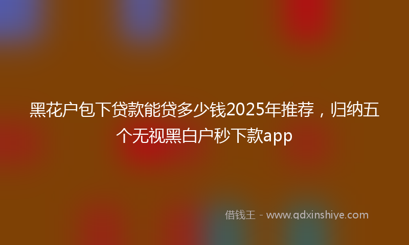 黑花户包下贷款能贷多少钱2025年推荐，归纳五个无视黑白户秒下款app