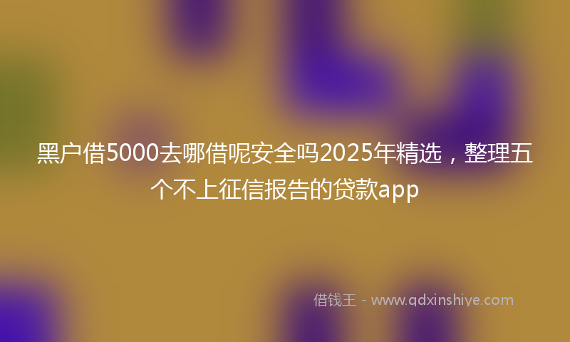 黑户借5000去哪借呢安全吗2025年精选，整理五个不上征信报告的贷款app