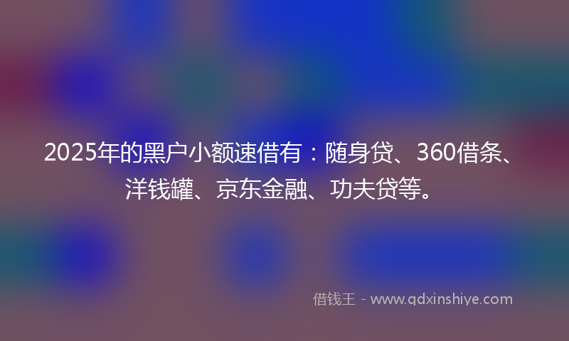 2025年的黑户小额速借有：随身贷、360借条、洋钱罐、京东金融、功夫贷等。