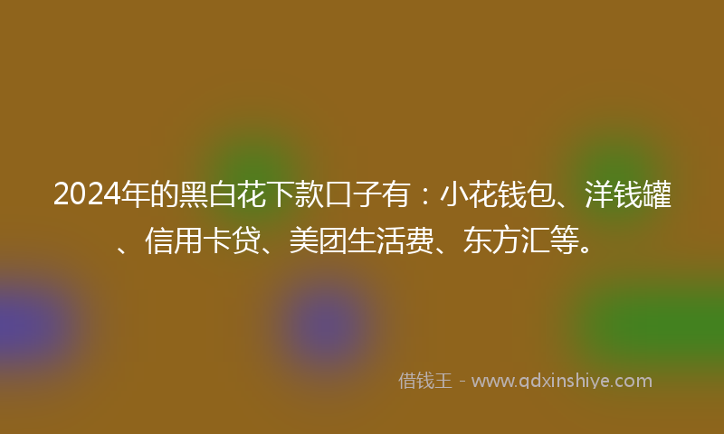 2024年的黑白花下款口子有：小花钱包、洋钱罐、信用卡贷、美团生活费、东方汇等。
