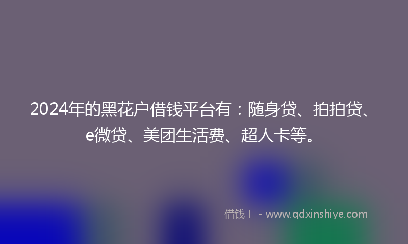2024年的黑花户借钱平台有：随身贷、拍拍贷、e微贷、美团生活费、超人卡等。