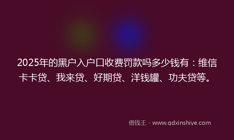 2025年的黑户入户口收费罚款吗多少钱有：维信卡卡贷、我来贷、好期贷、洋钱罐、功夫贷等。