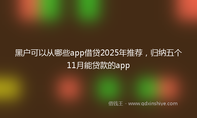 黑户可以从哪些app借贷2025年推荐，归纳五个11月能贷款的app