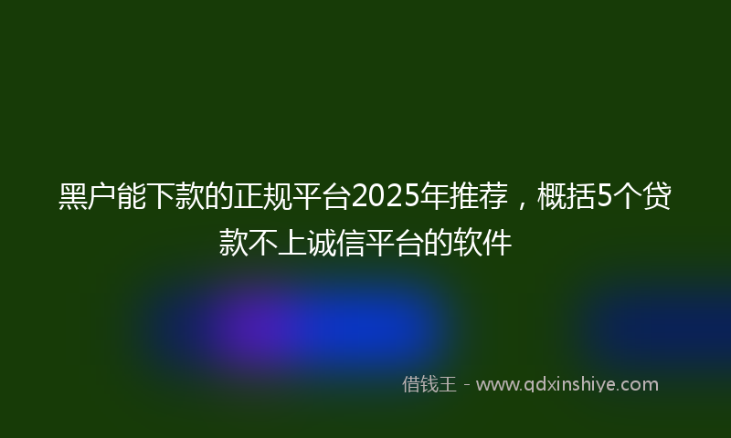 黑户能下款的正规平台2025年推荐，概括5个贷款不上诚信平台的软件