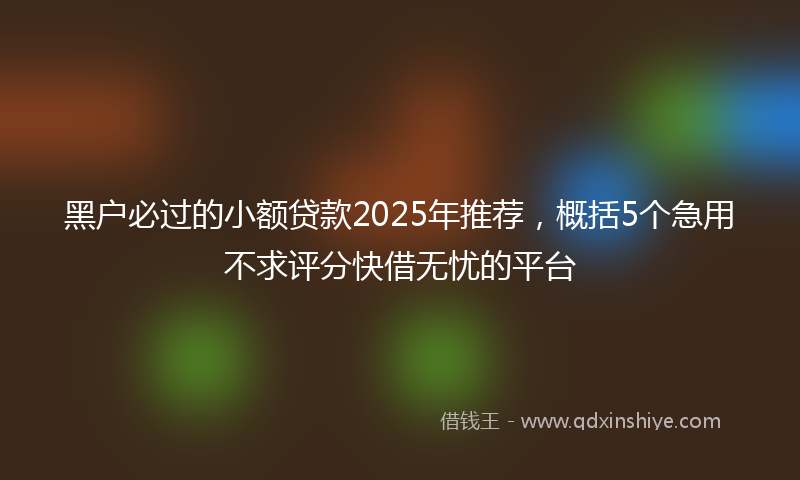 黑户必过的小额贷款2025年推荐，概括5个急用不求评分快借无忧的平台