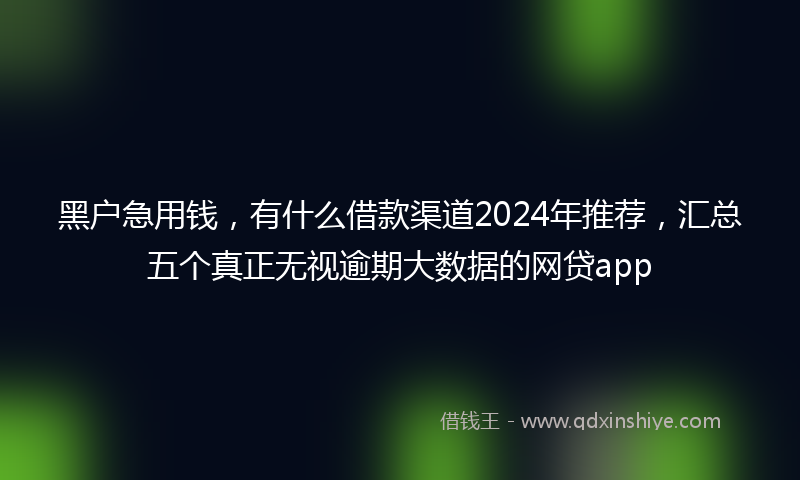 黑户急用钱，有什么借款渠道2024年推荐，汇总五个真正无视逾期大数据的网贷app