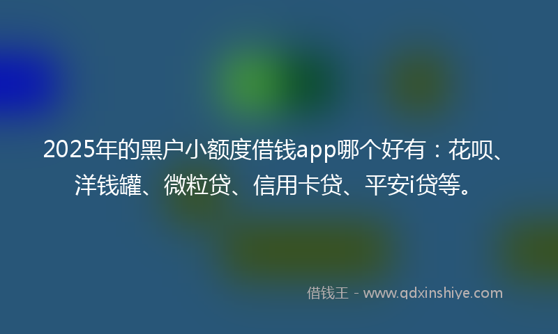 2025年的黑户小额度借钱app哪个好有：花呗、洋钱罐、微粒贷、信用卡贷、平安i贷等。