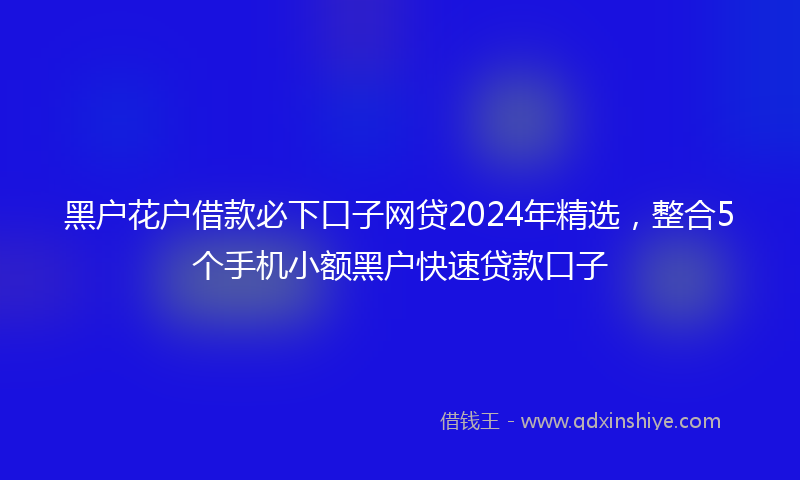 黑户花户借款必下口子网贷2024年精选，整合5个手机小额黑户快速贷款口子