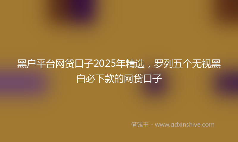 黑户平台网贷口子2025年精选，罗列五个无视黑白必下款的网贷口子
