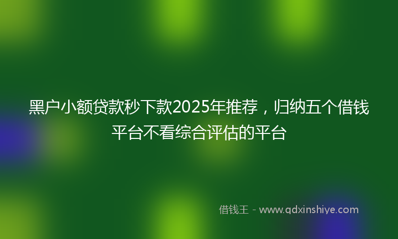 黑户小额贷款秒下款2025年推荐，归纳五个借钱平台不看综合评估的平台