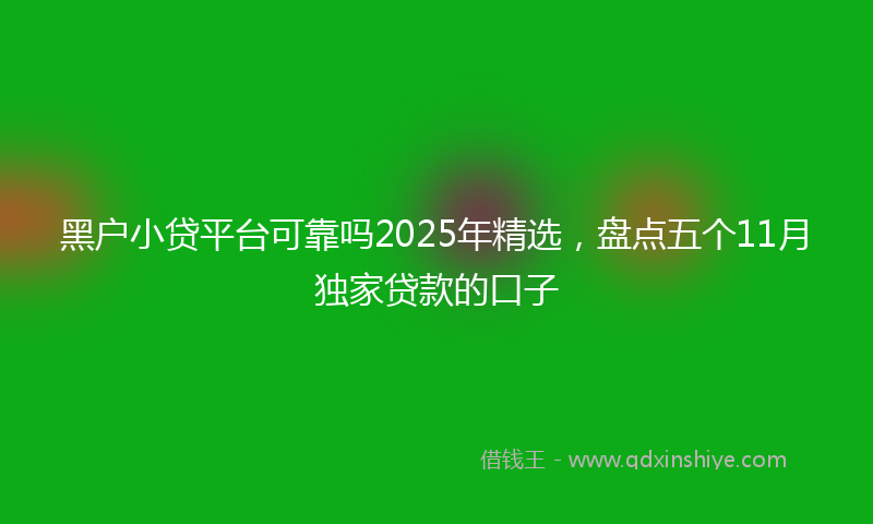 黑户小贷平台可靠吗2025年精选，盘点五个11月独家贷款的口子