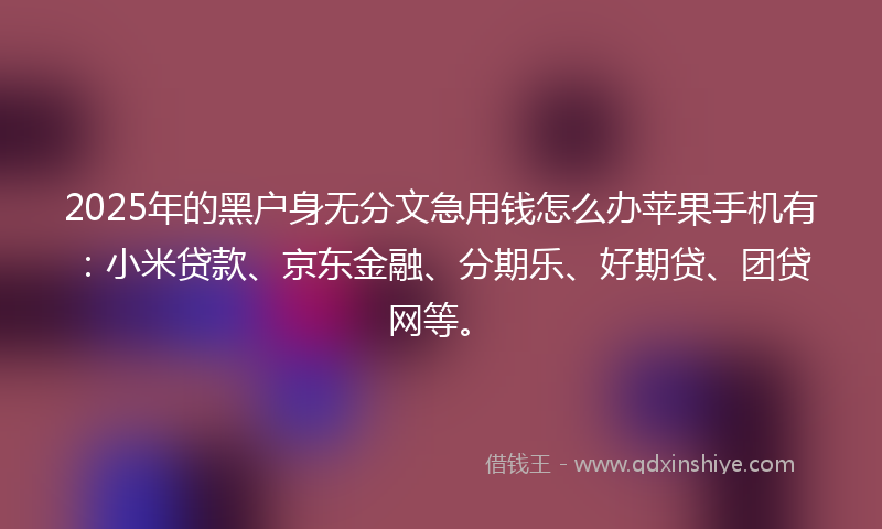 2025年的黑户身无分文急用钱怎么办苹果手机有：小米贷款、京东金融、分期乐、好期贷、团贷网等。