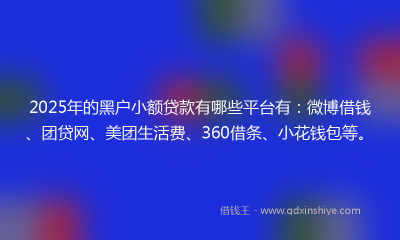 2025年的黑户小额贷款有哪些平台有：微博借钱、团贷网、美团生活费、360借条、小花钱包等。