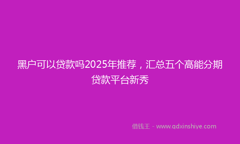 黑户可以贷款吗2025年推荐，汇总五个高能分期贷款平台新秀