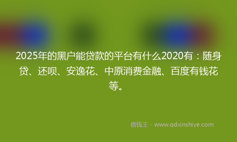 2025年的黑户能贷款的平台有什么2020有：随身贷、还呗、安逸花、中原消费金融、百度有钱花等。