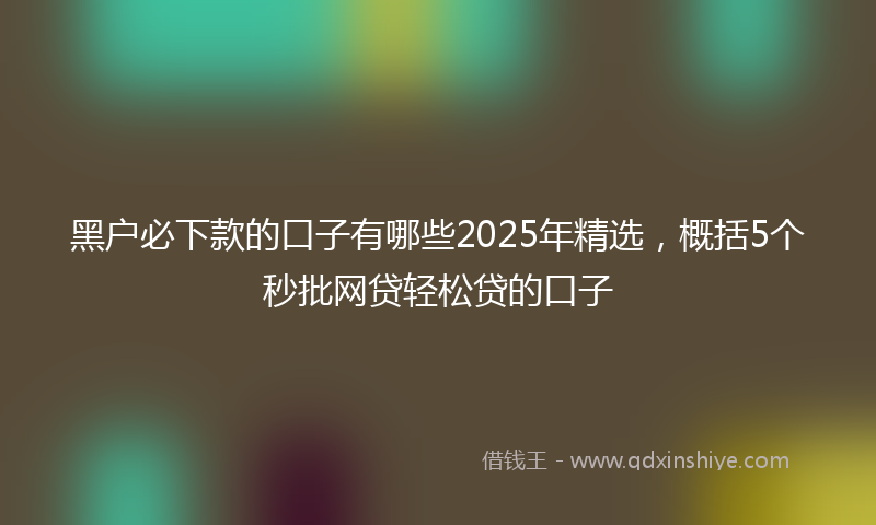 黑户必下款的口子有哪些2025年精选，概括5个秒批网贷轻松贷的口子