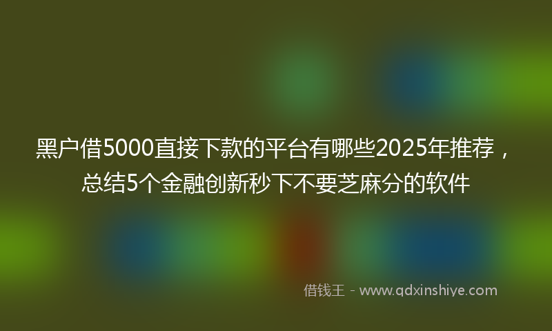 黑户借5000直接下款的平台有哪些2025年推荐，总结5个金融创新秒下不要芝麻分的软件