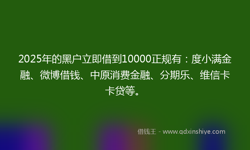 2025年的黑户立即借到10000正规有：度小满金融、微博借钱、中原消费金融、分期乐、维信卡卡贷等。