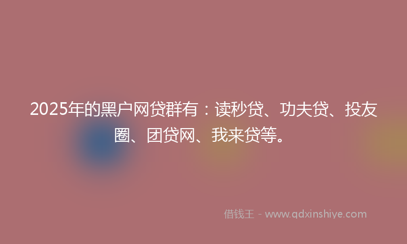 2025年的黑户网贷群有：读秒贷、功夫贷、投友圈、团贷网、我来贷等。