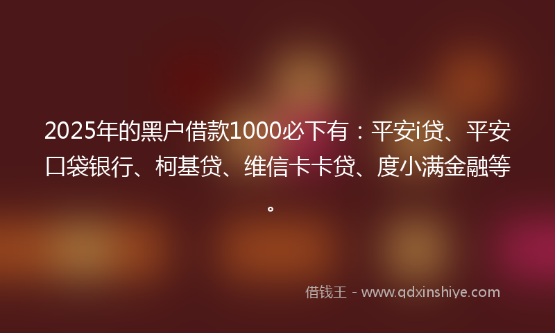 2025年的黑户借款1000必下有：平安i贷、平安口袋银行、柯基贷、维信卡卡贷、度小满金融等。