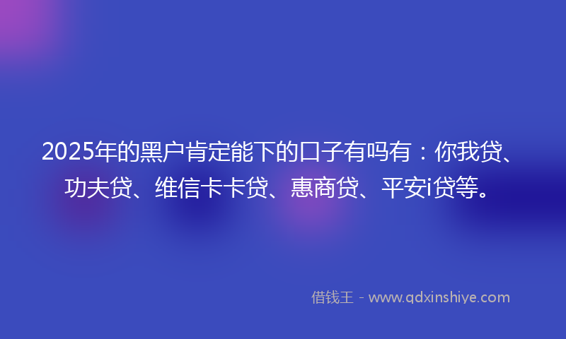 2025年的黑户肯定能下的口子有吗有：你我贷、功夫贷、维信卡卡贷、惠商贷、平安i贷等。