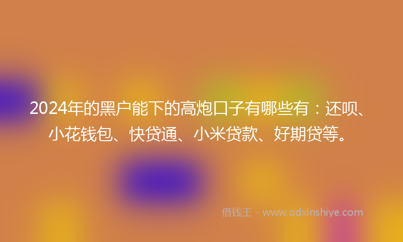 2024年的黑户能下的高炮口子有哪些有：还呗、小花钱包、快贷通、小米贷款、好期贷等。
