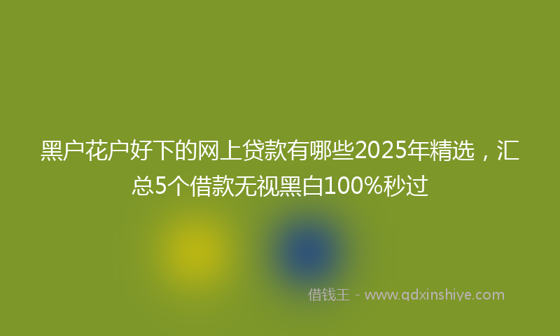 黑户花户好下的网上贷款有哪些2025年精选，汇总5个借款无视黑白100%秒过