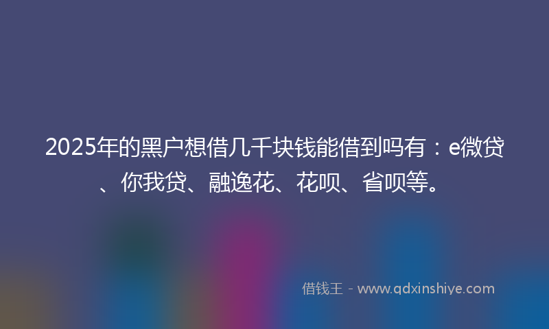 2025年的黑户想借几千块钱能借到吗有：e微贷、你我贷、融逸花、花呗、省呗等。