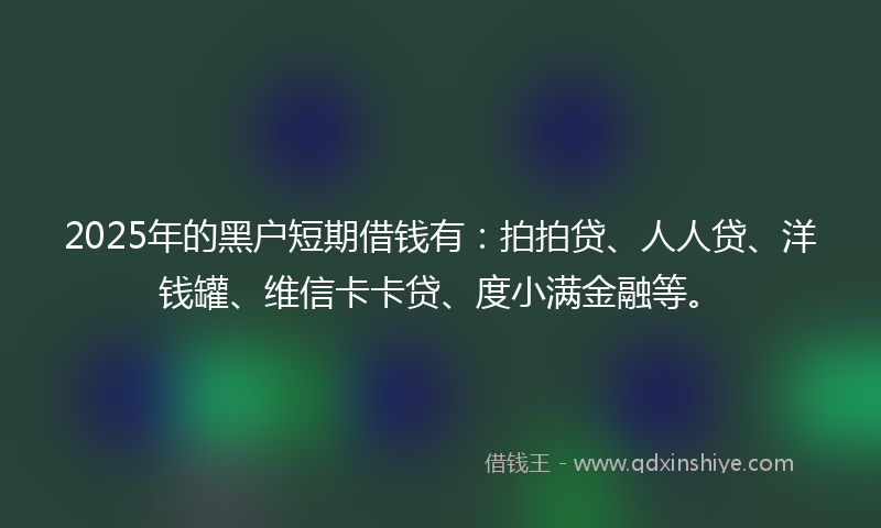 2025年的黑户短期借钱有：拍拍贷、人人贷、洋钱罐、维信卡卡贷、度小满金融等。