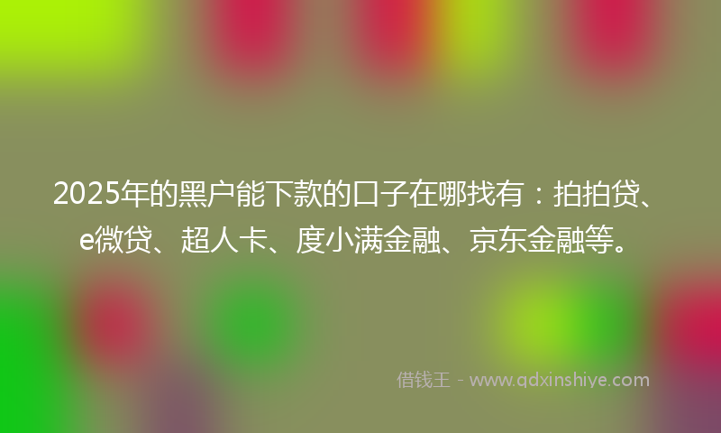 2025年的黑户能下款的口子在哪找有：拍拍贷、e微贷、超人卡、度小满金融、京东金融等。