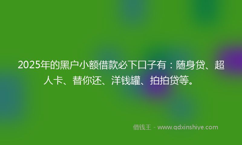 2025年的黑户小额借款必下口子有：随身贷、超人卡、替你还、洋钱罐、拍拍贷等。