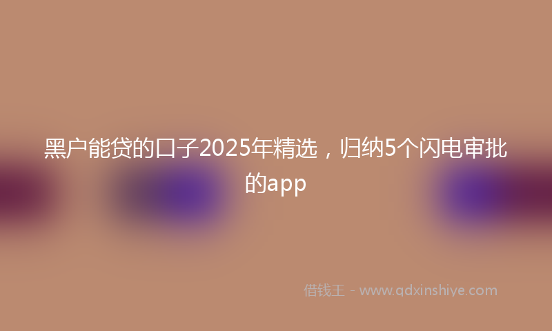 黑户能贷的口子2025年精选，归纳5个闪电审批的app