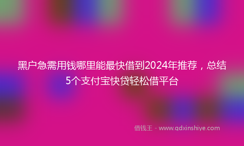 黑户急需用钱哪里能最快借到2024年推荐，总结5个支付宝快贷轻松借平台