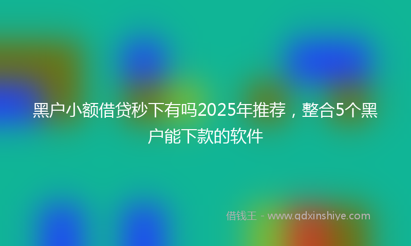 黑户小额借贷秒下有吗2025年推荐，整合5个黑户能下款的软件