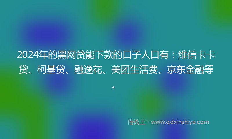 2024年的黑网贷能下款的口子人口有：维信卡卡贷、柯基贷、融逸花、美团生活费、京东金融等。