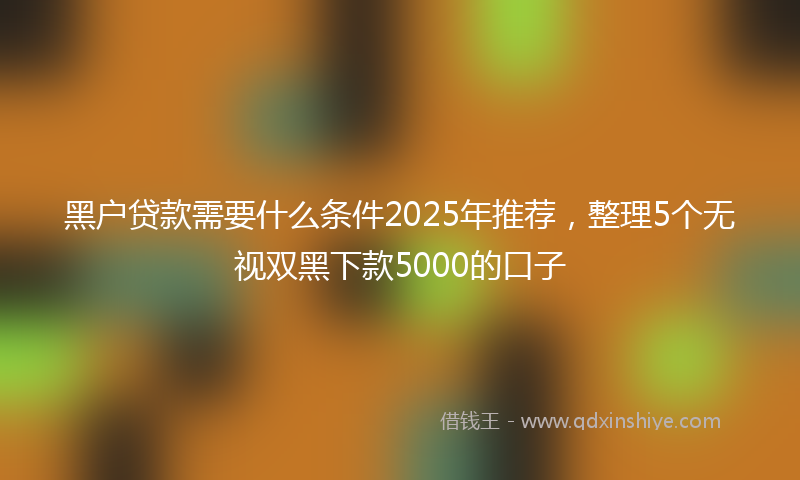 黑户贷款需要什么条件2025年推荐，整理5个无视双黑下款5000的口子