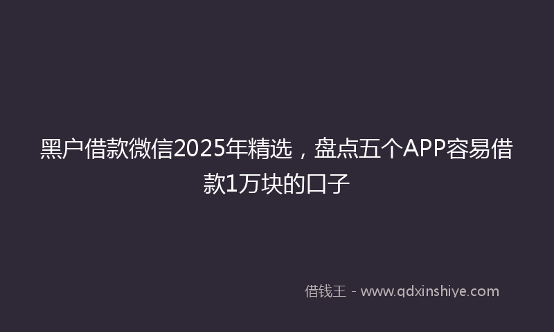 黑户借款微信2025年精选，盘点五个APP容易借款1万块的口子