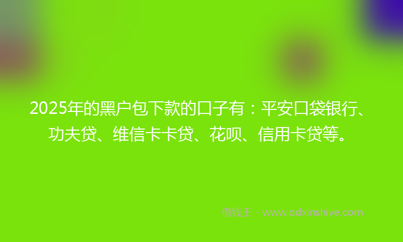 2025年的黑户包下款的口子有：平安口袋银行、功夫贷、维信卡卡贷、花呗、信用卡贷等。