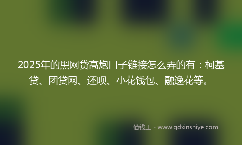 2025年的黑网贷高炮口子链接怎么弄的有：柯基贷、团贷网、还呗、小花钱包、融逸花等。