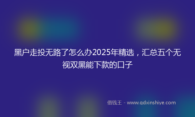 黑户走投无路了怎么办2025年精选，汇总五个无视双黑能下款的口子