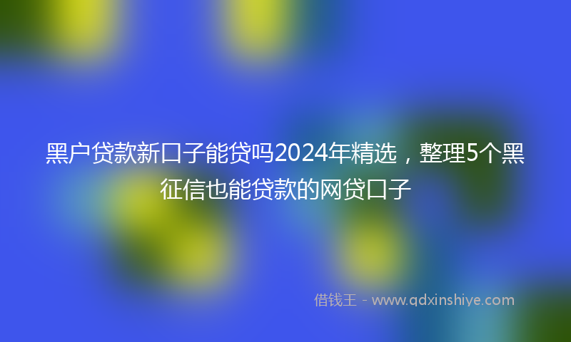 黑户贷款新口子能贷吗2024年精选，整理5个黑征信也能贷款的网贷口子
