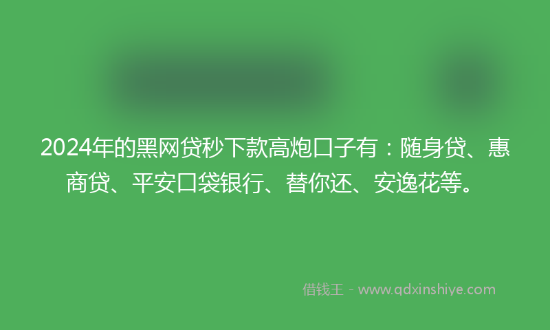 2024年的黑网贷秒下款高炮口子有：随身贷、惠商贷、平安口袋银行、替你还、安逸花等。