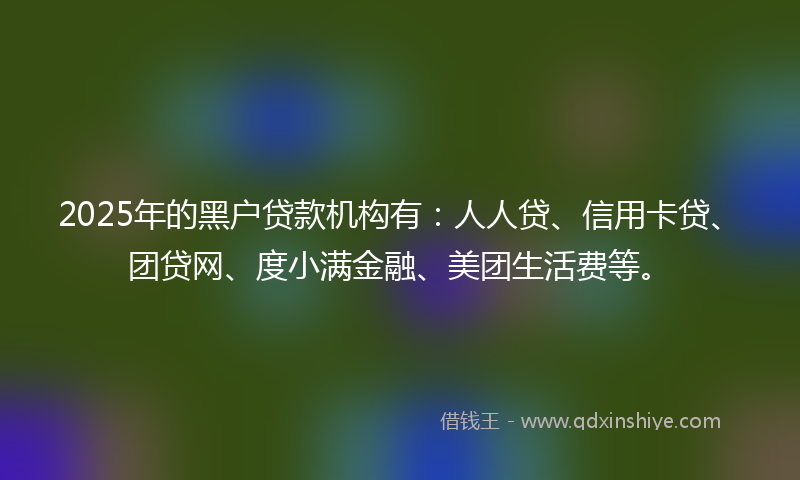 2025年的黑户贷款机构有：人人贷、信用卡贷、团贷网、度小满金融、美团生活费等。