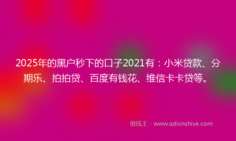 2025年的黑户秒下的口子2021有：小米贷款、分期乐、拍拍贷、百度有钱花、维信卡卡贷等。
