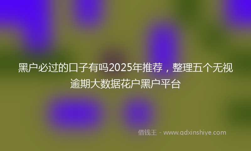 黑户必过的口子有吗2025年推荐，整理五个无视逾期大数据花户黑户平台