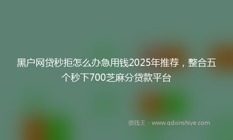 黑户网贷秒拒怎么办急用钱2025年推荐，整合五个秒下700芝麻分贷款平台