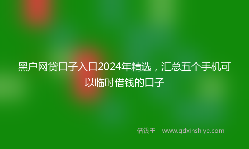 黑户网贷口子入口2024年精选，汇总五个手机可以临时借钱的口子