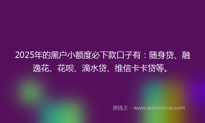 2025年的黑户小额度必下款口子有：随身贷、融逸花、花呗、滴水贷、维信卡卡贷等。