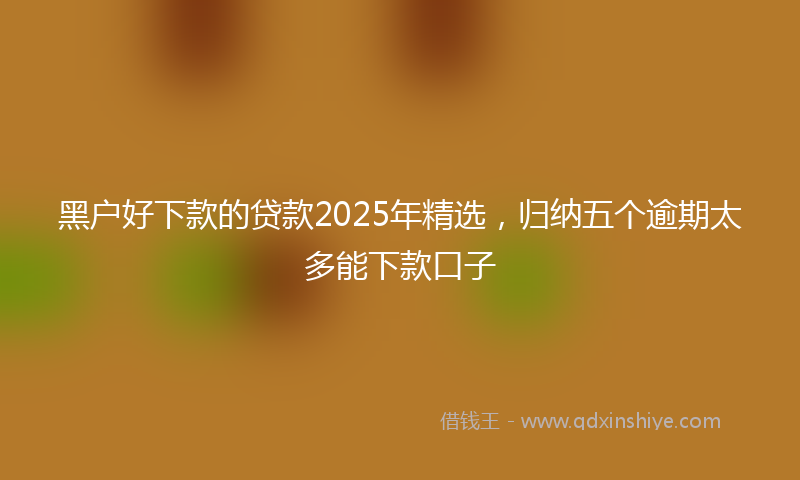 黑户好下款的贷款2025年精选，归纳五个逾期太多能下款口子